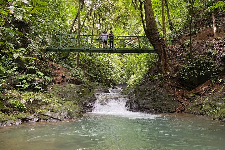 Guided hiking Tour by the Mystic Ebano Rainforest in Costa Rica - Photo 1 of 16